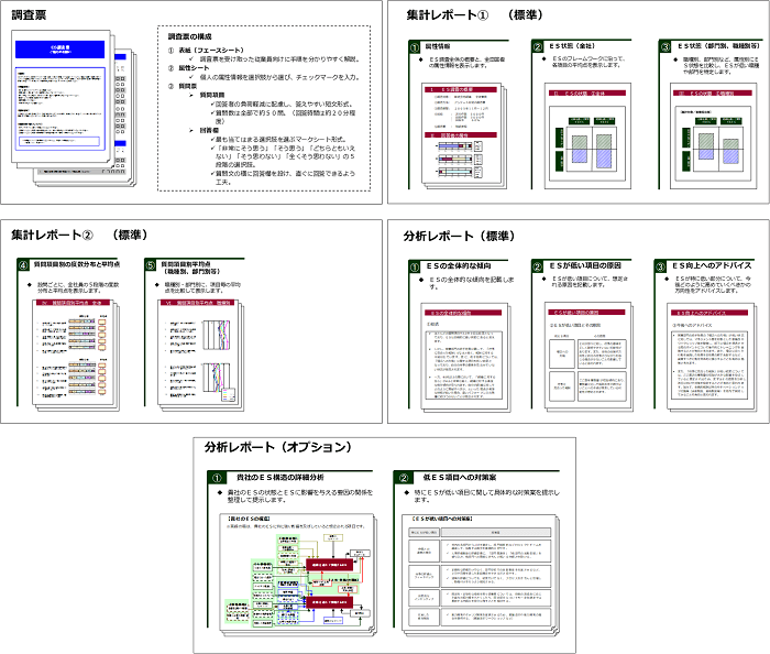 従業員満足度調査で使用する調査票や集計・分析レポート